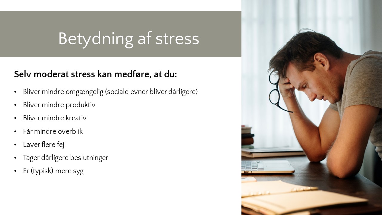 Betydning af moderat stress